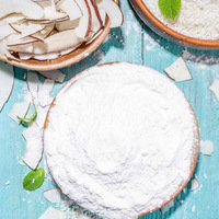 Meilleure vente de poudre de noix de coco saine farine de coco prix bon marché pour la fabrication de boissons d'eau de lait de noix de coco du Vietnam