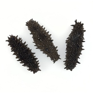 แตงกวาทะเลแบบแห้งแกงกะหรี่ปลาทะเลจากเวียดนามอาหารทะเลตากแห้งเกรดสูง - Product Image 3