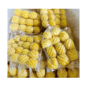 Tranches d'ananas congelées, fraîchement coupées et surgelées pour conserver la saveur et la nutrition, approvisionnement en vrac pour les exportateurs et les acheteurs OEM - Product Image 2