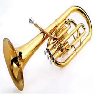 Cornet AltoS de Luxe Laqué CharchetaS, Support OEM/ODM, Qualité Industrielle/DIY, Personnalisable, Original FeverS, Garantie 3 Ans, Royaume-Uni - Product Image 3