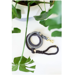 Rope Dog <b>Leash</b> Ombre Grey Cotton <b>Leash</b> Accessory Customized Colored Cotton Rope Handmade Dog <b>Leash</b> <b>Pet</b> <b>Leash</b> - Product Image 1