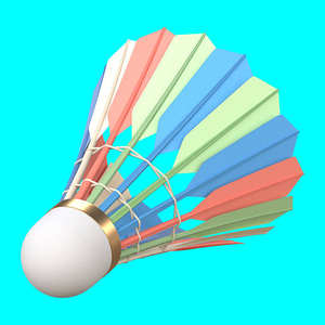 Volant de badminton haute vitesse, vol stable - Product Image 4