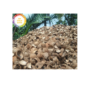 Coquille de noix de coco origine du Vietnam matière première naturelle de noix de coco adaptée aux ornements artisanaux et aux articles durables - Product Image 3