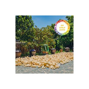 ฟองน้ำใยบวบแบบแห้งทั้งหมดของเวียดนามฟองน้ำใยธรรมชาติย่อยสลายได้เป็นมิตรต่อสิ่งแวดล้อมสำหรับการดูแลร่างกายและทำความสะอาดสปา - Product Image 4