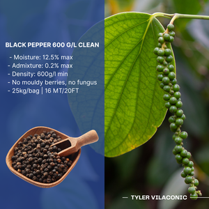 Pimienta negra seca vietnamita 5mm Bold en fábrica por Tyler - Product Image 2