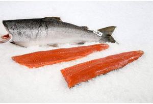 Pesce Intero di <span class=keywords><strong>Salmone</strong></span> Atlantico Biologico Congelato FD BQF in Confezione Bulk - Product Image 6