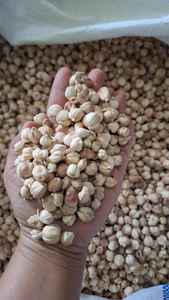 High Quality Organic Indonesian white Cardamom Premium <b>Agriculture</b> <b>Product</b> Competitive Prices Wholesale Supplier for Bulk Orders - Product Image 6