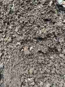 Engrais en poudre à libération rapide NPK8 à base de fumier de poulet biologique, pureté de 99% - Product Image 6