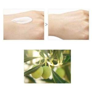 [GINA] ชุดอิมัลชันหมึกพร้อมสารสกัดจากใบมะกอก ผู้ผลิตเครื่องสําอางเกาหลี - Product Image 3