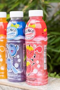 Botella de PET de 500ml al por mayor, bebidas de zumo de arándanos de alta calidad, Nata De Coco, fabricante de zumo de frutas y verduras de Vietnam - Product Image 4