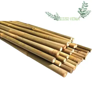 All'ingrosso naturale magra l'albero bastoni alla rinfusa grande palo di bambù pali di bambù canne palo di bambù per le guardie degli alberi