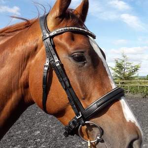 Bride Snaffle - Product Image 4