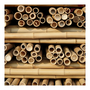 Poteaux fiables en bambou naturel du Vietnam pour clôturer le chantier de construction et l'aménagement paysager-Sizes-BPF006 personnalisé écologique durable - Product Image 1