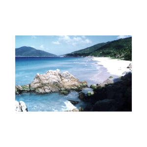 Et les projets de menuiserie commerciaux disponibles à des prix avantageux Beech Long est idéal pour la construction de portes et de cadres - Product Image 2