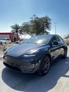 Tesla Model Y Long Range (AWD) 2025, crossover eléctrico de doble motor - Product Image 4