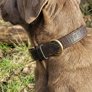Collar de perro impermeable de cuero genuino resistente con herrajes de latón antiguo ajuste personalizado marrón - Product Image 3
