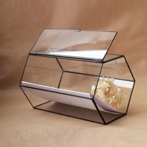 Boîte de Terrarium en verre rectangulaire géométrique du fabricant avec cadre en fer fini noir pour l'affichage et la décoration du dessus de Table à la maison. - Product Image 2
