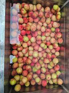 Litchi pelé et congelé de pulpe de fruit de litchi d'IQF en vrac entier - Product Image 4