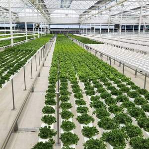 Systèmes hydroponiques modernes et tours aéroponiques pour l'agriculture intérieure, l'agriculture durable et l'efficacité de l'eau - Product Image 2