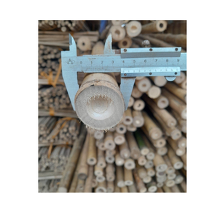 Postes de bambú tratado seco con diámetro de 7 a 150mm Estaca de caña de palos de bambú rectos naturales para construcción o agricultura - Product Image 1