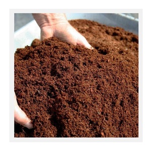 Blocs de fibres de coco compressées en palettes, coque de noix de coco, écorce de coco, briques de coco, tourbe de coco - Product Image 4