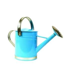 Arrosoir portable en métal avec poignée facile à saisir pour un jardinage pratique et une finition vintage - Product Image 5