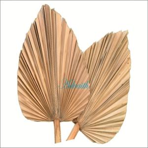 Feuilles de palmier naturelles sèches décoratives préservées pour décoration de chambre et de fête pour la Saint-Valentin, Noël et Pâques - Product Image 1
