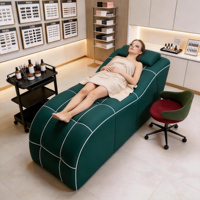 Lit de beauté moderne sans assemblage, lit d'esthéticienne profilé pour salon, mobilier de spa