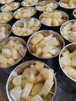 Tranches et morceaux d'ananas en conserve - Sirop Ms. Lucinda, 80% de contenu en sirop