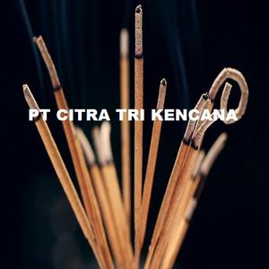 แผ่นฝ้าเพดานพีวีซีวัสดุไม้ไพน์วู้ดสำหรับทำพื้นพีวีซีผนังผนังพีวีซีไปยัง Udon ประเทศไทย - Product Image 3