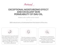 Crème pour les pieds WHP 3WB 120g Tube Beauté coréenne Fournisseur de produits de beauté hydratant infusé à l'urée pour les pieds fissurés Soins de la peau pour femmes