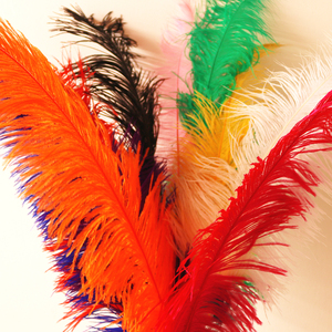 Plumes d'autruche de qualité supérieure, directement de l'usine, vente en gros, idéales pour la création de costumes, les bouquets et les décorations - Product Image 1