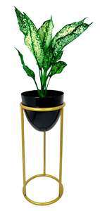 แจกันโลหะน้ำหนักเบา ออกแบบมาเพื่อการตกแต่งบ้าน ให้สัมผัสความทันสมัยและรายละเอียดงานฝีมือ เหมาะสำหรับการใช้งานตามฤดูกาล - Product Image 2