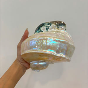 เปลือกหอยพรีเมี่ยมวัสดุจากมหาสมุทรเวียดนามเหมาะสำหรับการตกแต่งด้วยงานฝีมือเครื่องประดับและการสร้างสรรค์ของที่ระลึก - Product Image 4