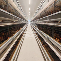 Système d'élevage avicole automatique à cage en H pour la production d'œufs