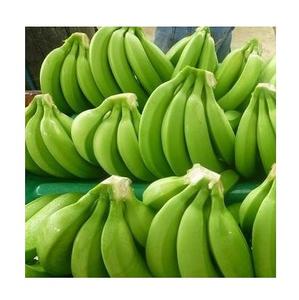 Bananas Cavendish Verdes Orgánicas Frescas al por Mayor de Alta Calidad 25 kg Alemania - Product Image 4