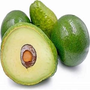 Aguacate fresco de grado estándar disponible a precios de mercado - Product Image 5