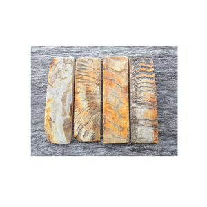 ตาชั่งแกะ/แรม/จานสำหรับฮอร์นสีและมีดและช้อนที่จับธรรมชาติ - Product Image 4