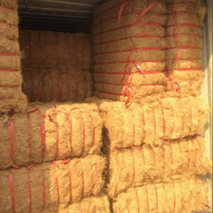 Fibra de Palma Cruda Marrón en Venta - Product Image 1