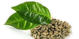 Grains de café vert Arabica biologique Taille 16 Grade AA+ Vietnam Vente en gros Exportation en vrac avec certification biologique USDA TNFOOD 1000 kg - Product Image 4