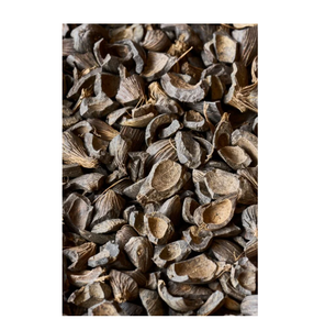 Cáscara de Nuez de Palma Premium, Fuente de Energía Biomasa Natural, Disponible en Grandes y Pequeñas Cantidades, de Austria, Venta al Por Mayor - Product Image 4