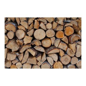 Premium oak <b>wood</b> <b>logs</b> bulk supply wholesale affordable price strong timber - Product Image 2