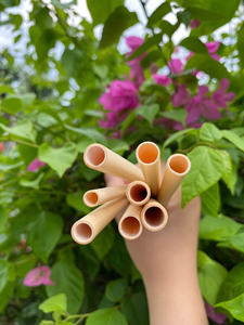 Pajitas de bambú reutilizables de alta calidad/pajita de bambú grabada con logotipo láser y embalaje personalizado - Product Image 3