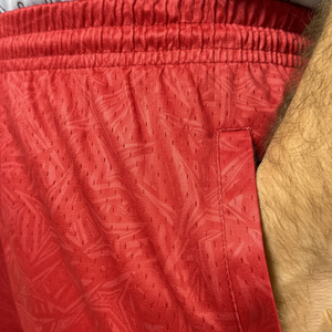 High Street Summer Sportswear Athletic <b>Mesh</b> Shorts 100% Polyester Quick Dry Breathable Comfortable Elastic <b>Mesh</b> Men Shorts - Product Image 5