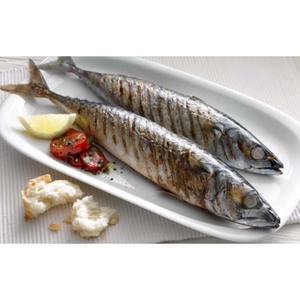 Maquereau de l'Atlantique congelé de qualité supérieure, surgelé et idéal pour les supermarchés et les importateurs - Product Image 6