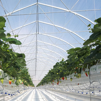 Serre commerciale compacte à simple travée en film PE, structure en acier galvanisé stabilisée aux UV, installation facile, économique pour la culture de légumes