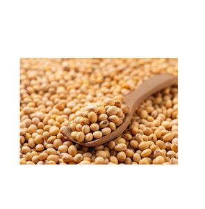 Semillas de Soja Amarilla Orgánicas de Primera Calidad, Sin OMG, Alto Contenido Proteico, Grado Alimenticio, Brasileñas, 25 kg, de Fábrica - Product Image 3