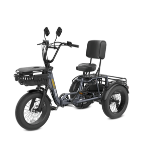 Best Pedal <b>Electric</b> <b>Tricycle</b> Fat Tire Trike - Product Image 2