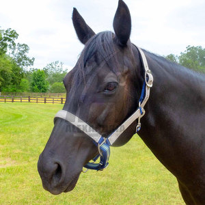 Correa de Cabeza para Caballo Suave, Arnés, Accesorios de Equitación, Nuevo Collar de Cabeza para Montar de Alexandria Industries - Product Image 2