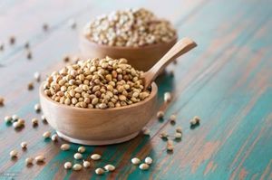 Graines de coriandre brutes de qualité alimentaire, pureté 99%+, certifiées FSSAI/ISO, emballage personnalisable, qualité d'exportation premium, épice - Product Image 3